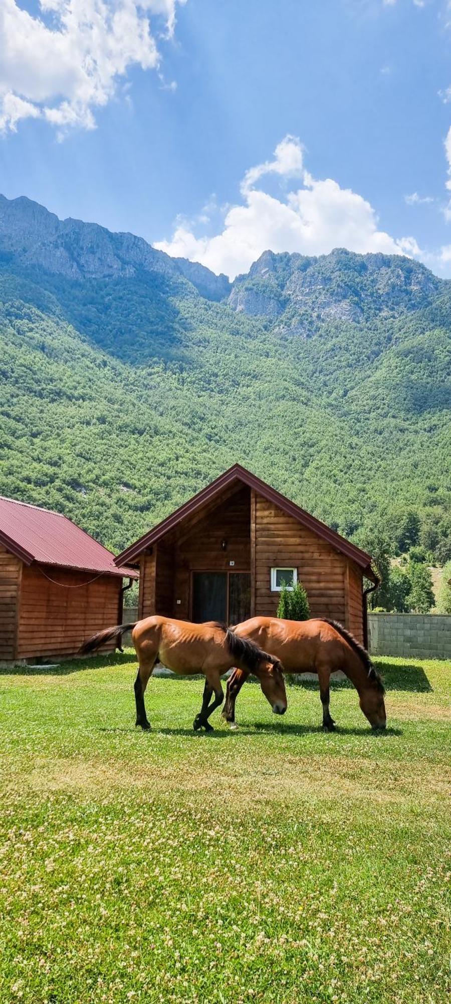 Hotel Ethno Katun Rosi Agrotourism Gusinje Exterior foto