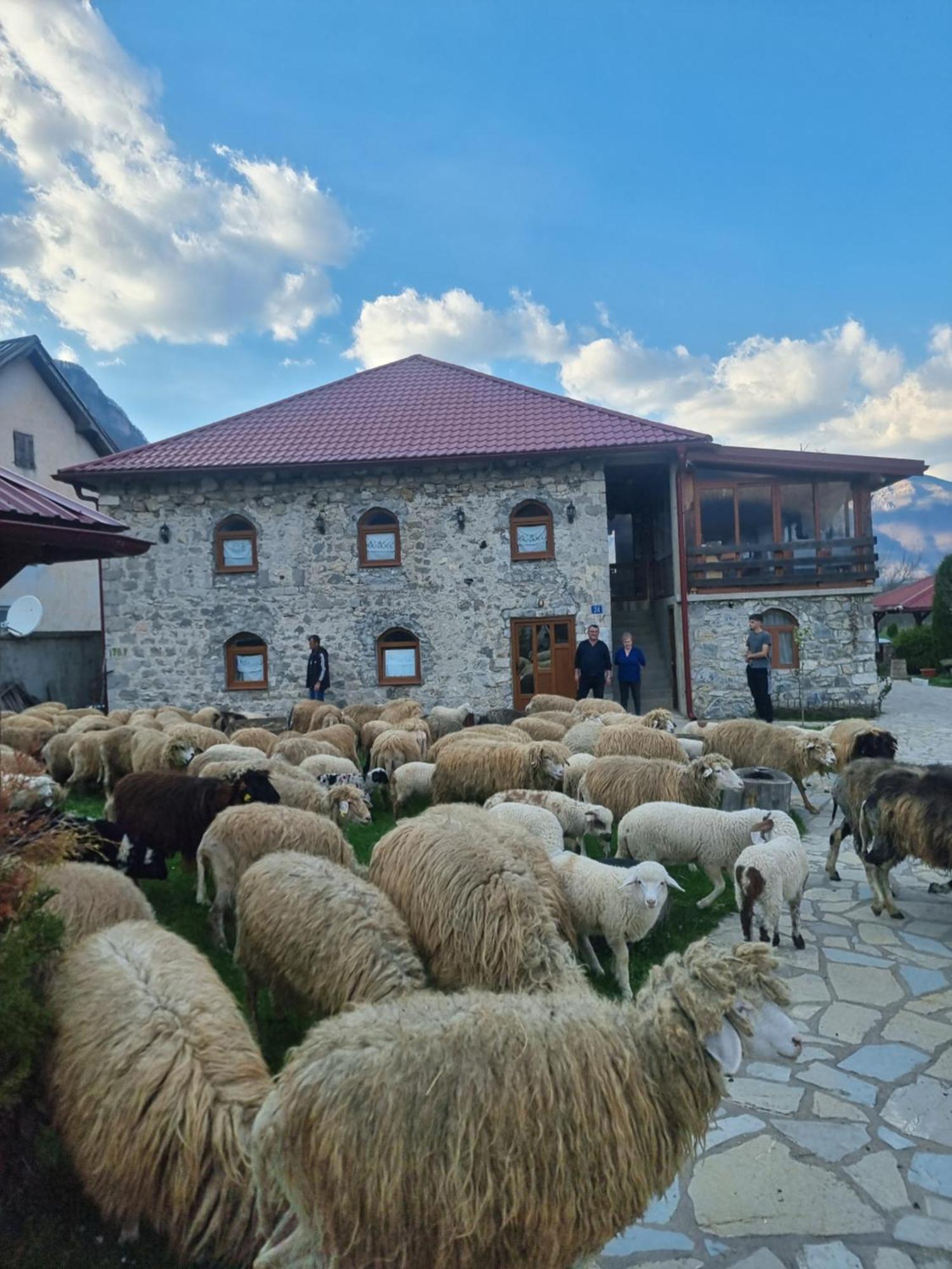Hotel Ethno Katun Rosi Agrotourism Gusinje Exterior foto